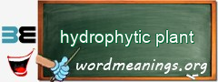 WordMeaning blackboard for hydrophytic plant